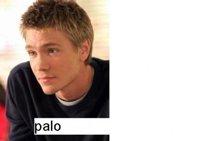 c palo
